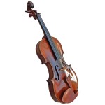 Deconeti violin